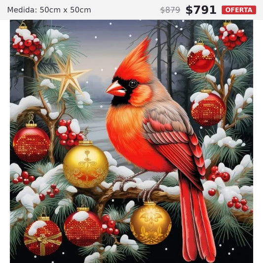 cardenal 50 x 50 preventa navideña