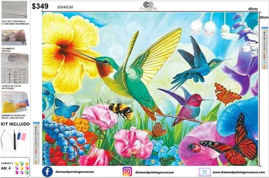 Colibríes 30 x 40 incluye DIAMANTES AB