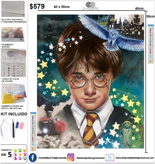 Harry Potter 40 x 50 incluye DIAMANTES AB