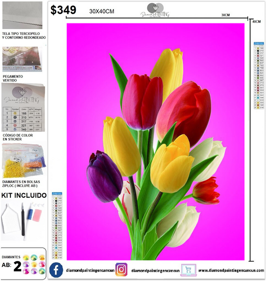 Tulipanes 30 x 40 incluye DIAMANTES AB