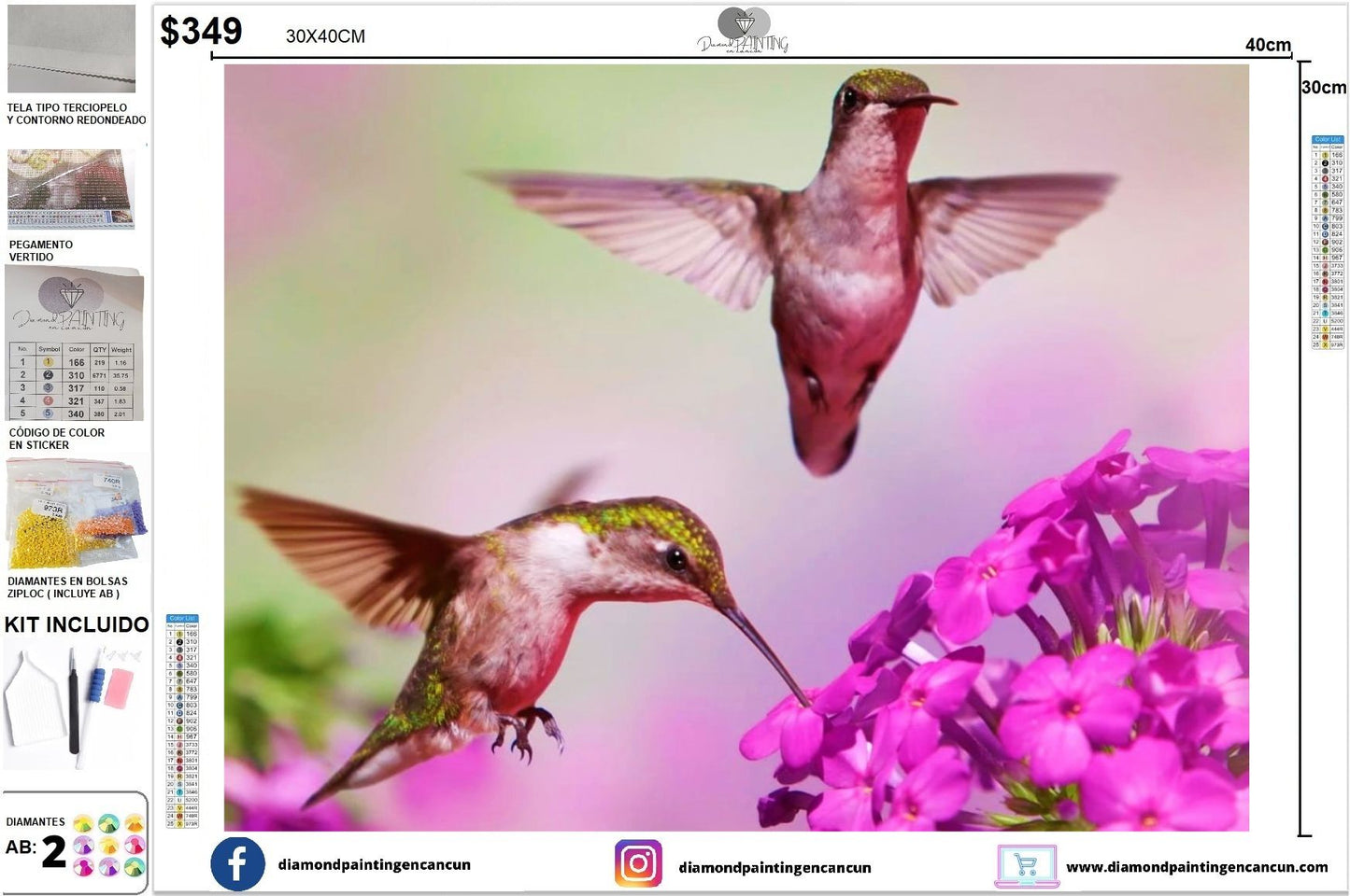 Colibríes 30 x 40 incluye DIAMANTES AB