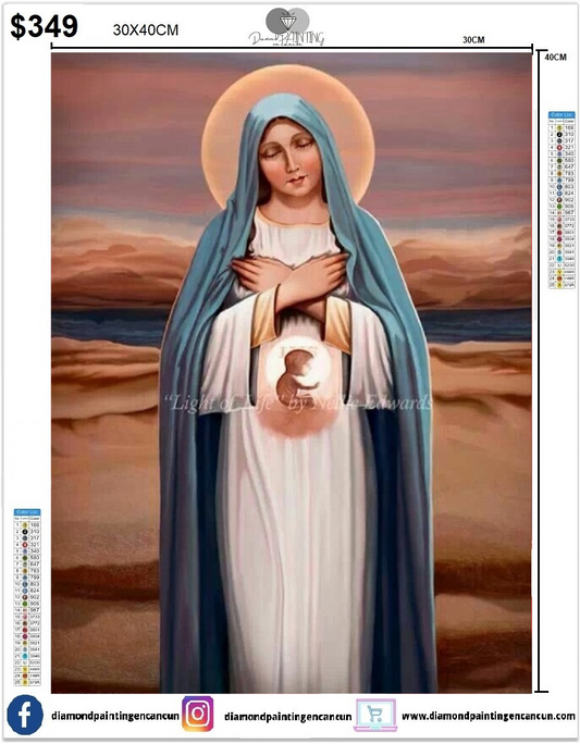 Virgen 30 x 40cm Incluye Diamantes AB