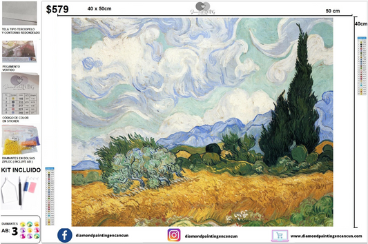 Paisaje Vincent Van Gogh 40 x 50 incluye DIAMANTES AB