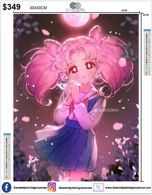 Chibiusa Sailor 30 x 40cm Incluye Diamantes AB