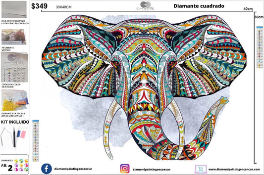 Elefante 30 x 40 incluye DIAMANTES AB redondo